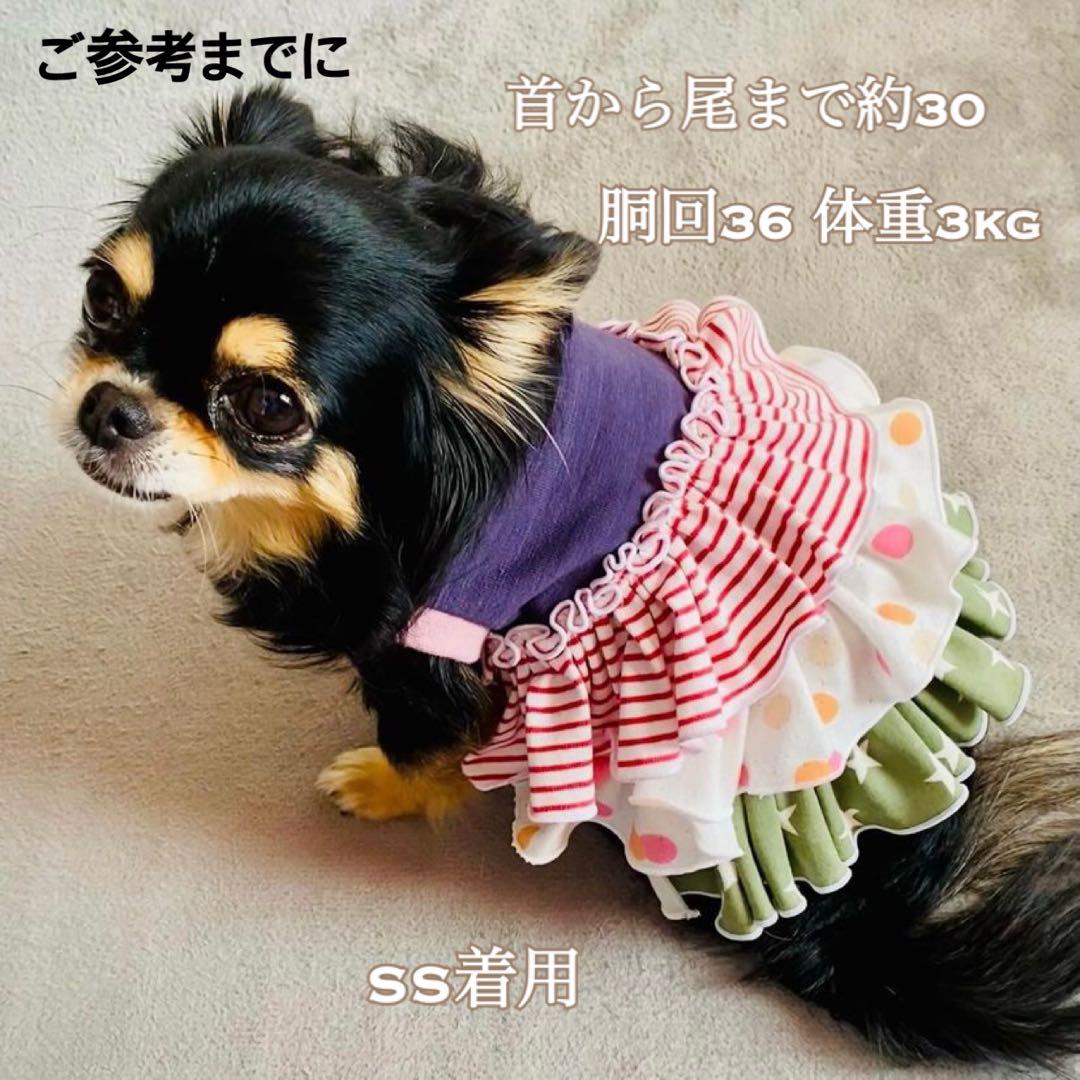 Nokko犬服ハンドメイドワンピース No.2522 Sサイズ 犬服 ハンドメイド ニコチャン ワンピース
