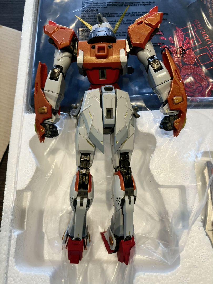 【METAL BUILD　デスティニーガンダム（ハイネ機）】