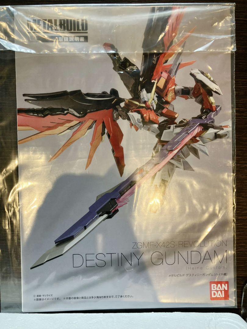 【METAL BUILD　デスティニーガンダム（ハイネ機）】
