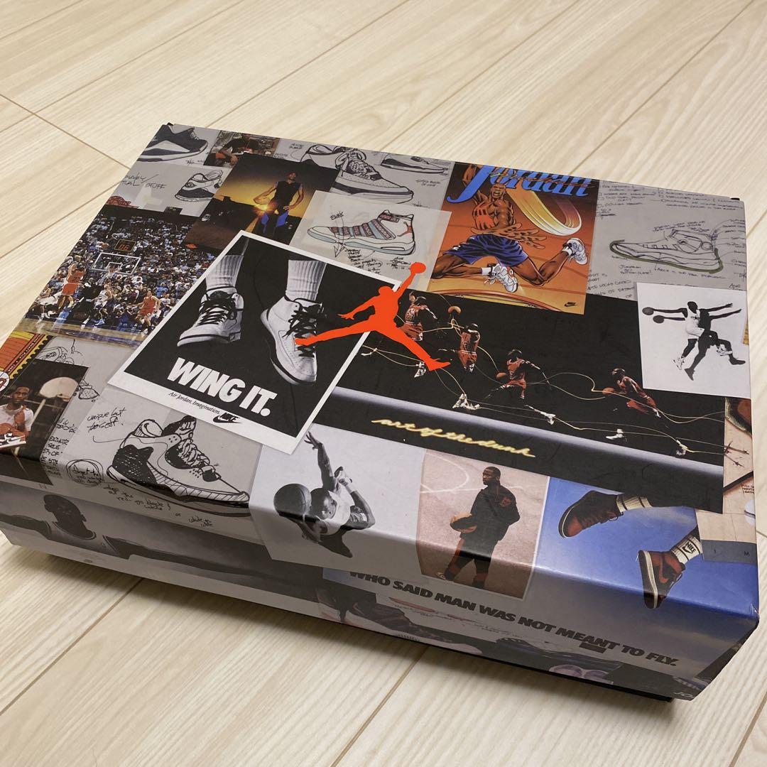 Jordan Air Jordan 6 グレー スエード
