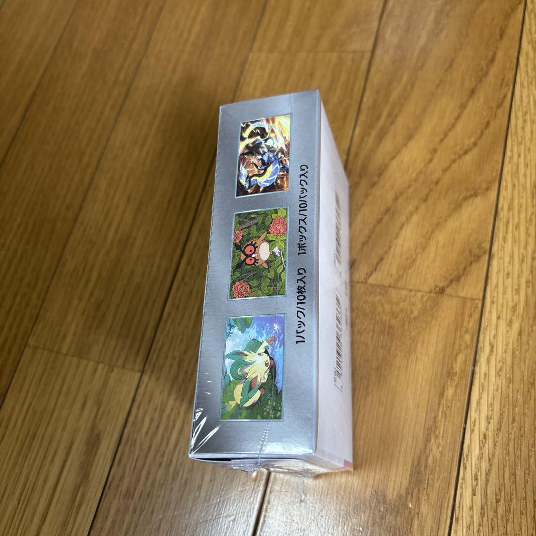 テラスタルフェス BOX