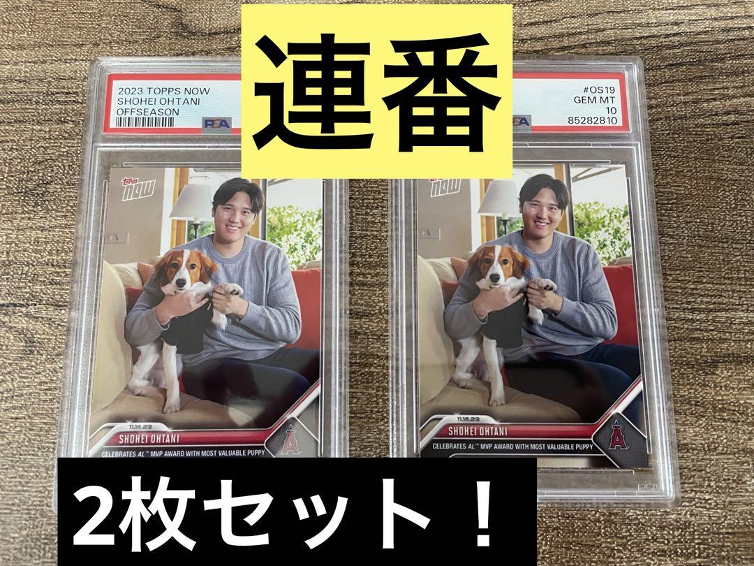 大谷翔平　デコピン　PSA 10 連番　2枚セット　ワンオーナー