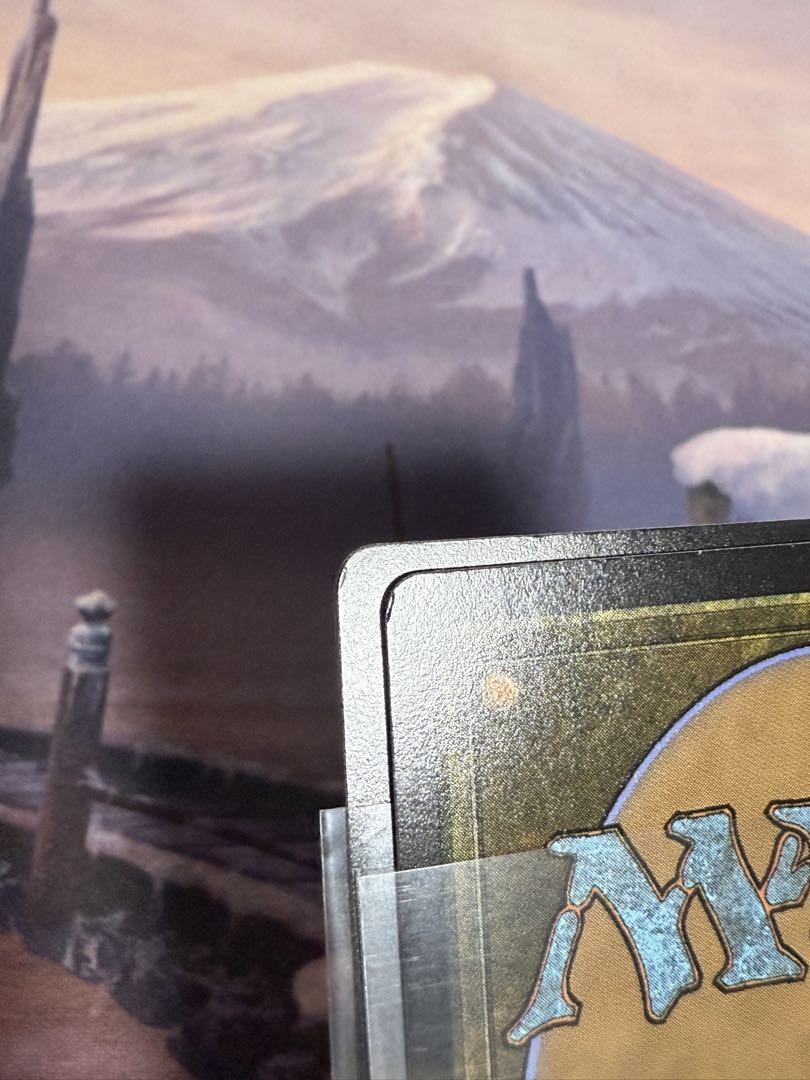 丸*亮様 MTG/FIN/迷える黒魔道士、ビビ/2枚