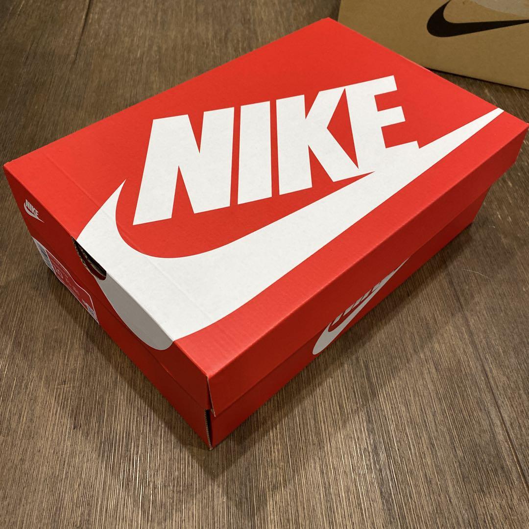 NIKE DUNK HI RETRO チャンピョンシップホワイト 28.0