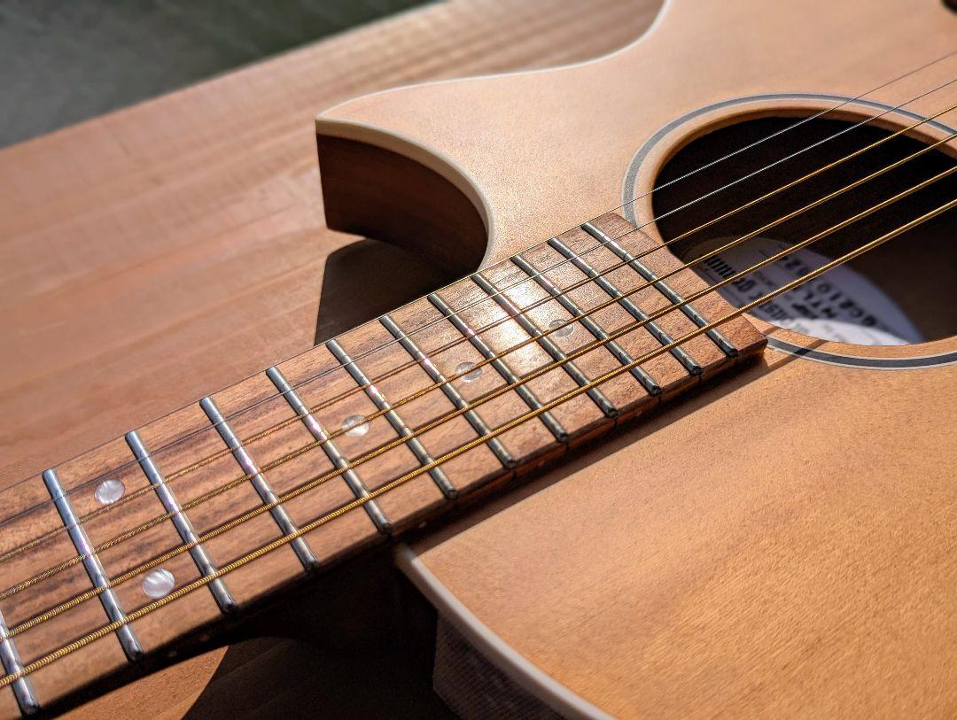 ギター Grass Roots G-AC-50S/NTLS