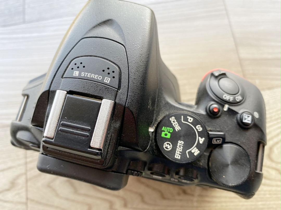 HOT限定SALE 極上美品 Nikon ニコン D5600 AF-P 18-55 レンズキット pVGLe-m43720804732 好評超激安