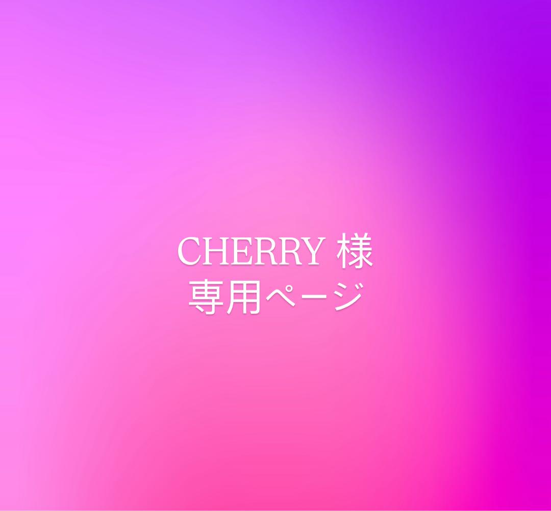 専用　ホワイトシュシュ1点