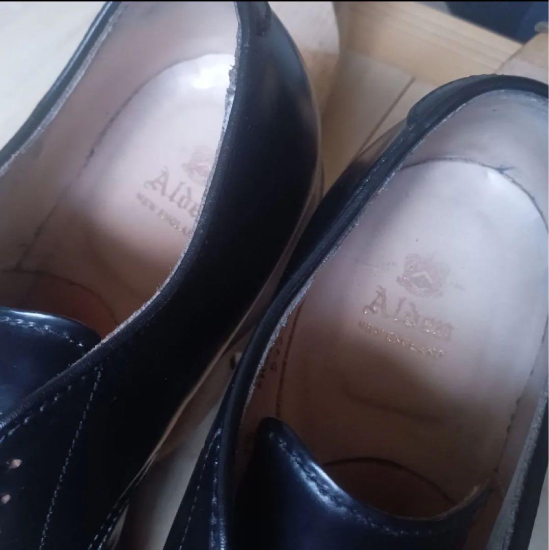 ALDEN 54331