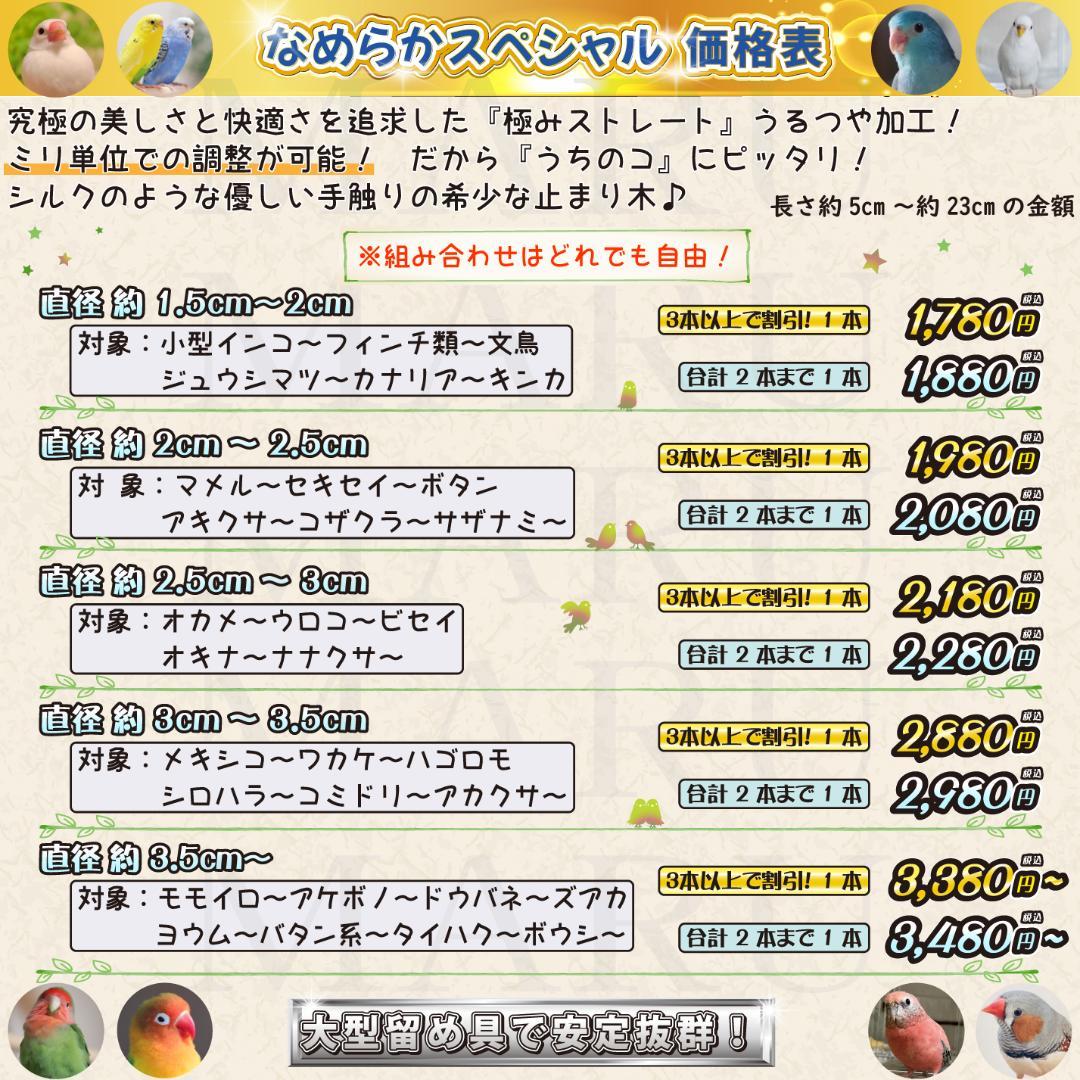 ポーラーベアー