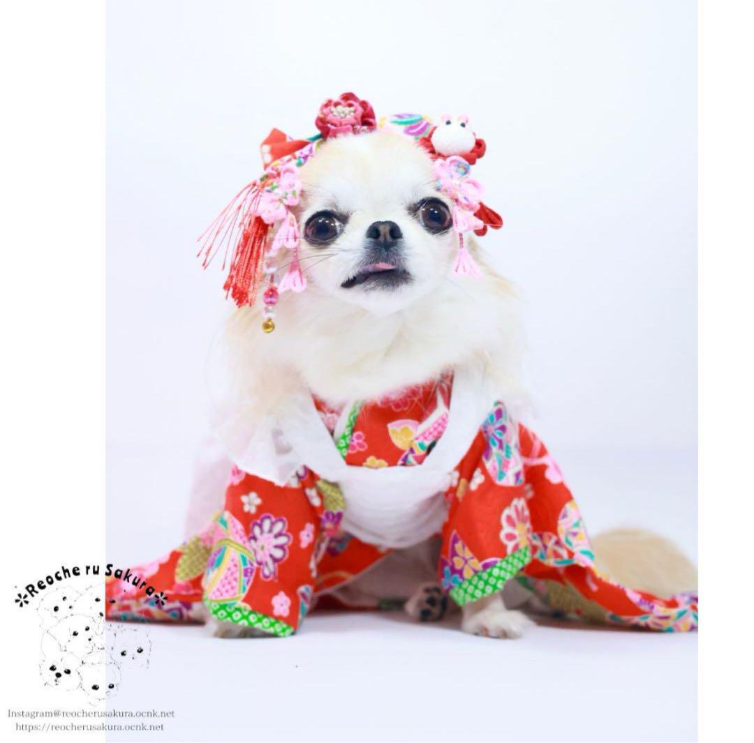 犬服 フリルエプロン レース オーダー 重ね着 ハンドメイド 小型 犬服 フリルエプロン レース オーダー 重ね着 ハンドメイド 小型