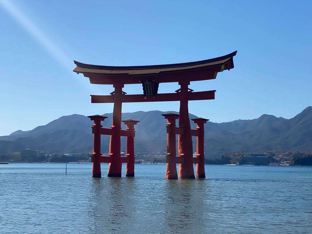 ねぎんこ様専用