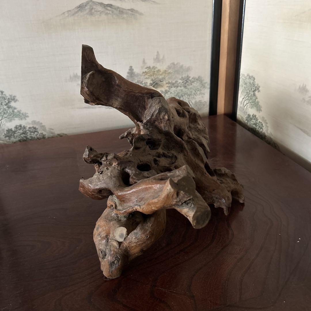 自然な形状の流木