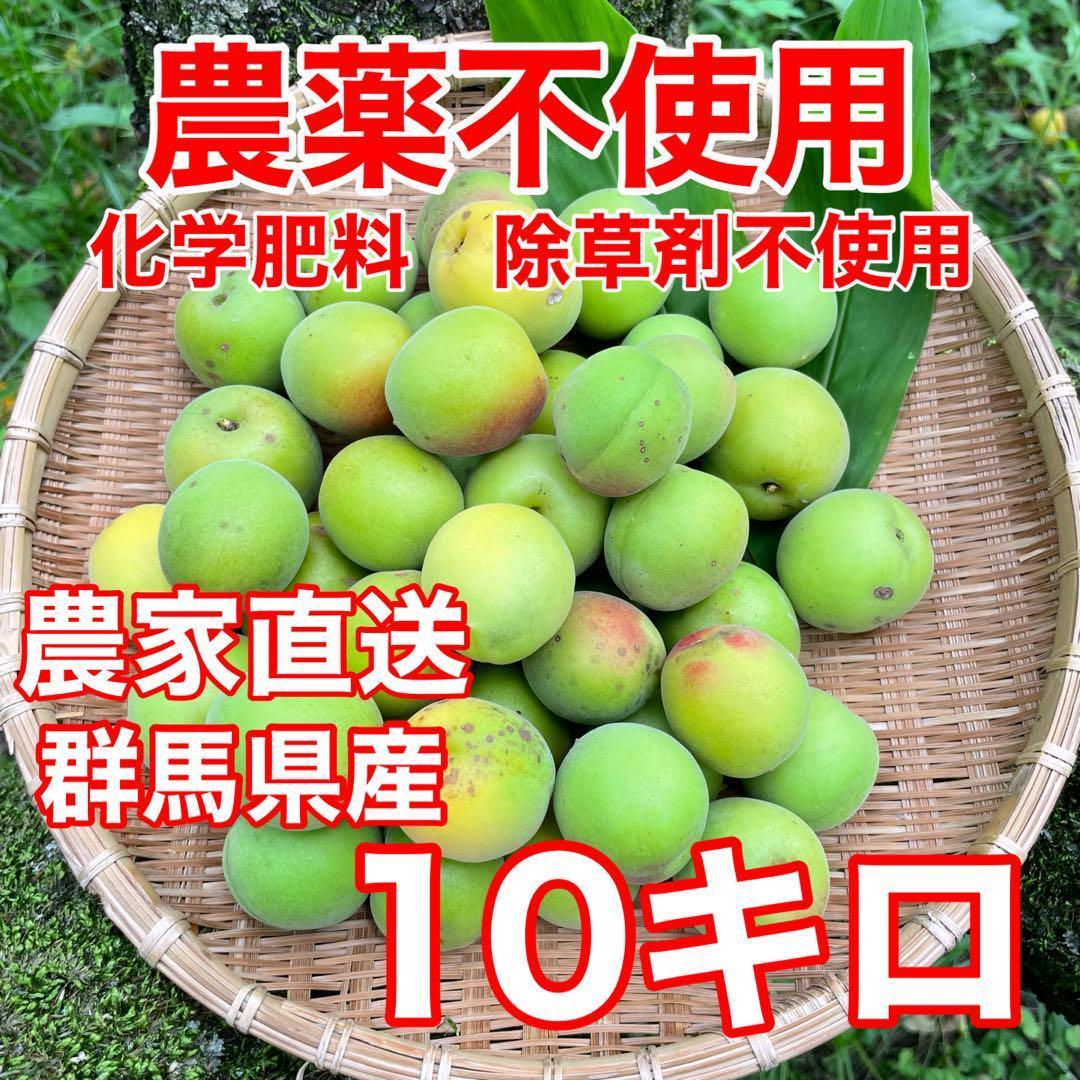 農薬、化学肥料、除草剤不使用　中熟梅　木熟　10キロ　農家直送　ご注文後収穫
