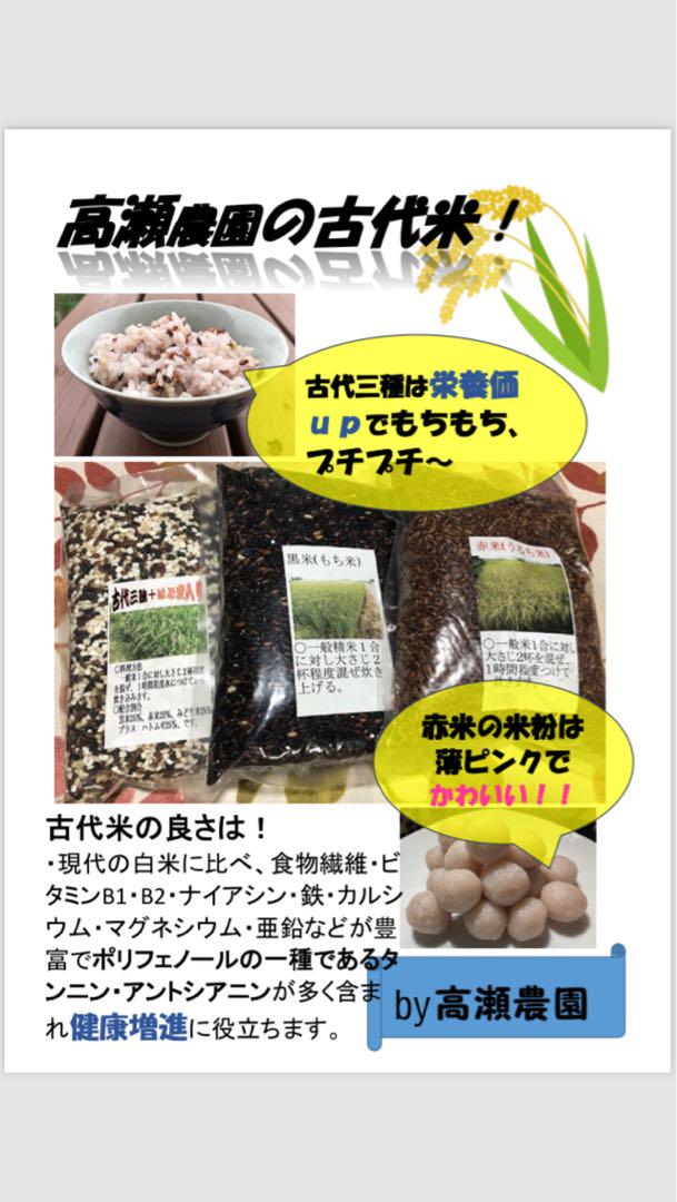 栃木県小山市産　令和6年度黒米　500g×4＋ハトムギ入り三昧500g×4