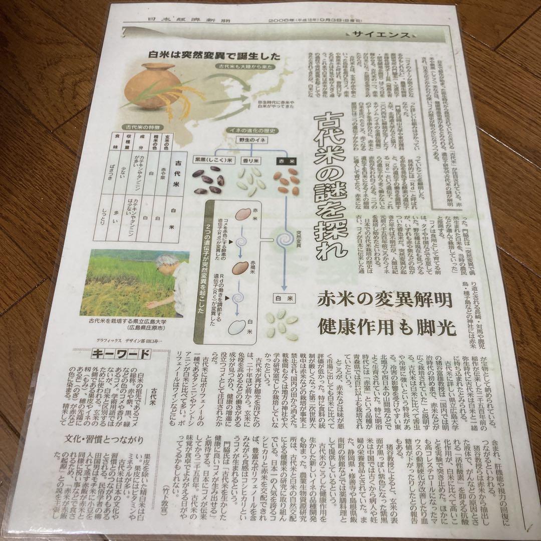 栃木県小山市産　令和6年度黒米　500g×4＋ハトムギ入り三昧500g×4