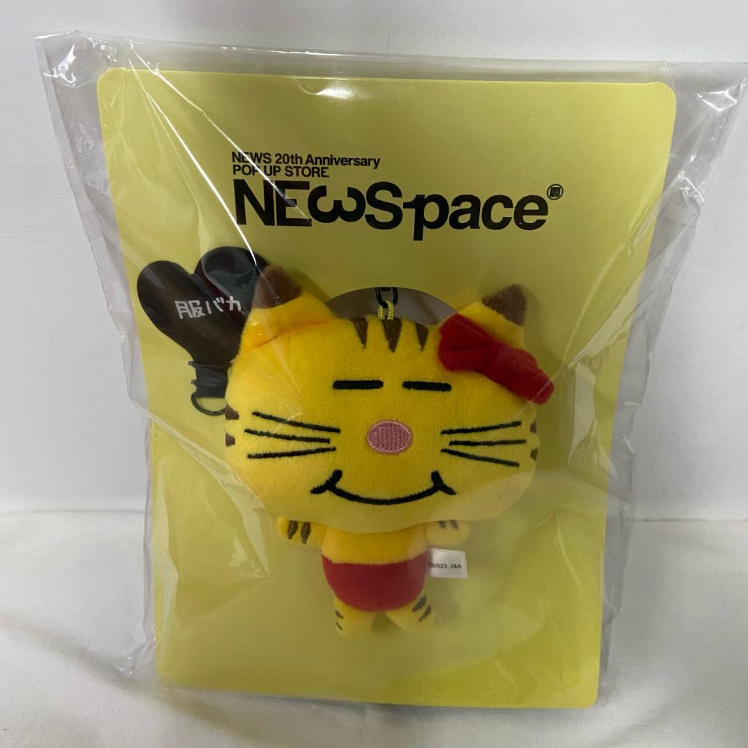 ネコます 増田貴久 ネコますNEWSpace 増田貴久