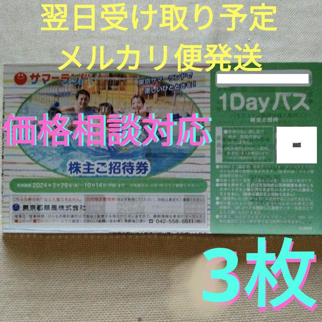 東京 サマーランド　株主優待　入場券チケット3枚b