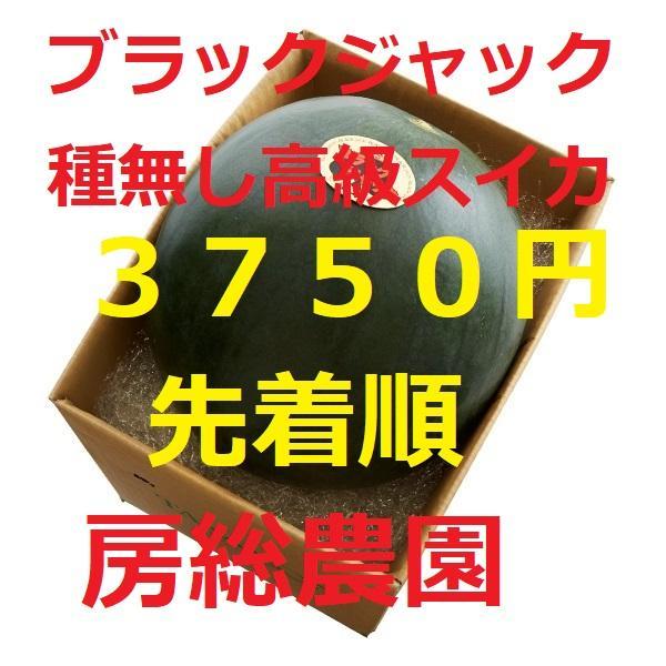 ３７５０円・先着順・ブラックジャック・種無し高級プレミアムスイカ