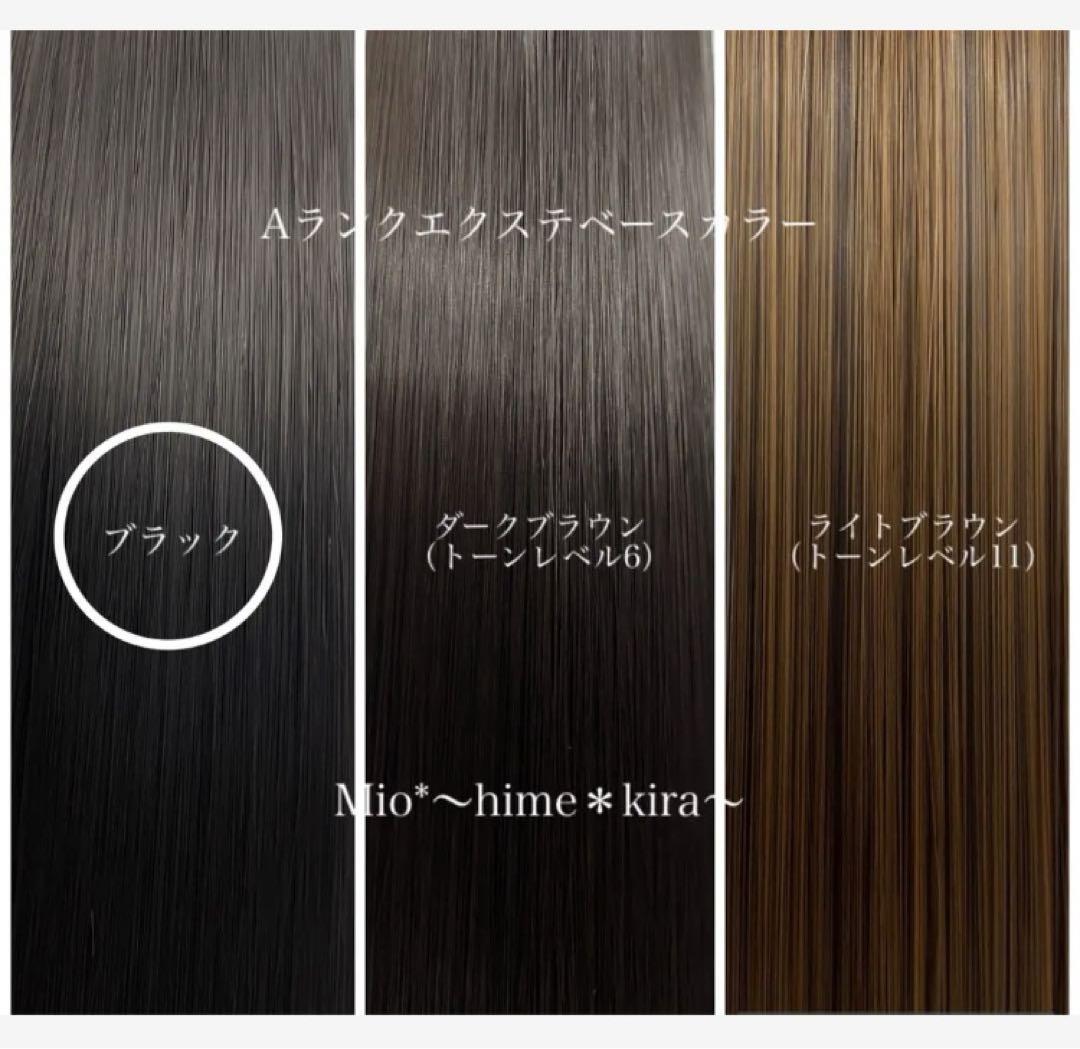 Ran　ポニーテールリング　リングエクステ　Aランク使用⭐︎基本色4080〜