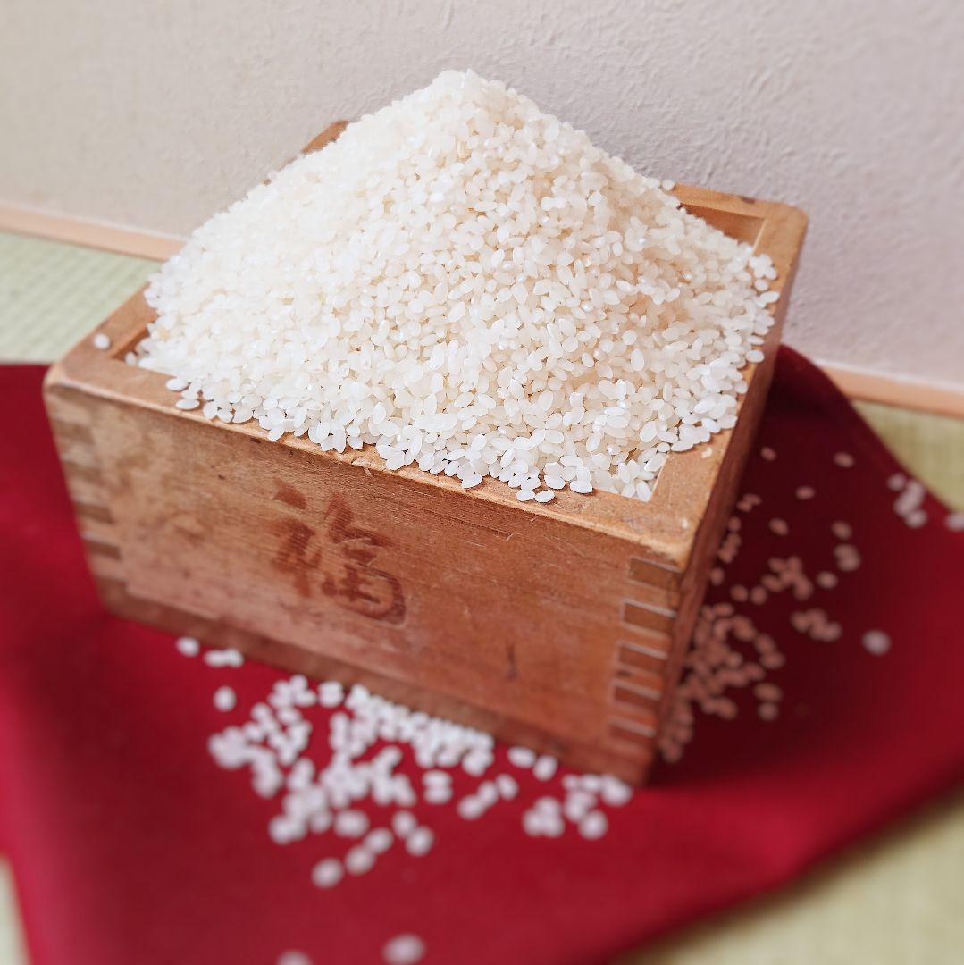 【玄米20kg】粒すけ 令和6年収穫 千葉県産