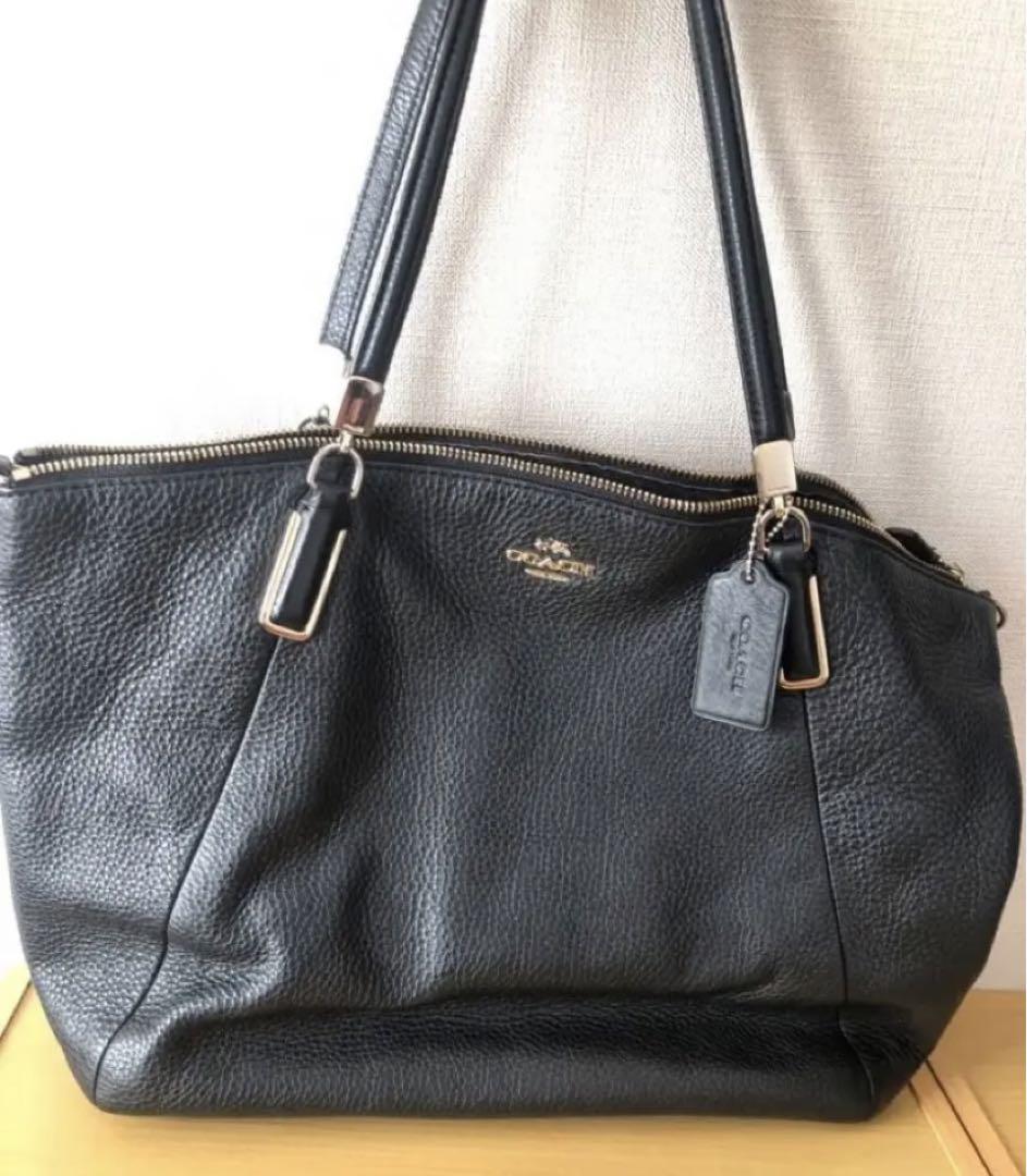 極美品!!希少!  Mulberryミニシートン パイソン 2way