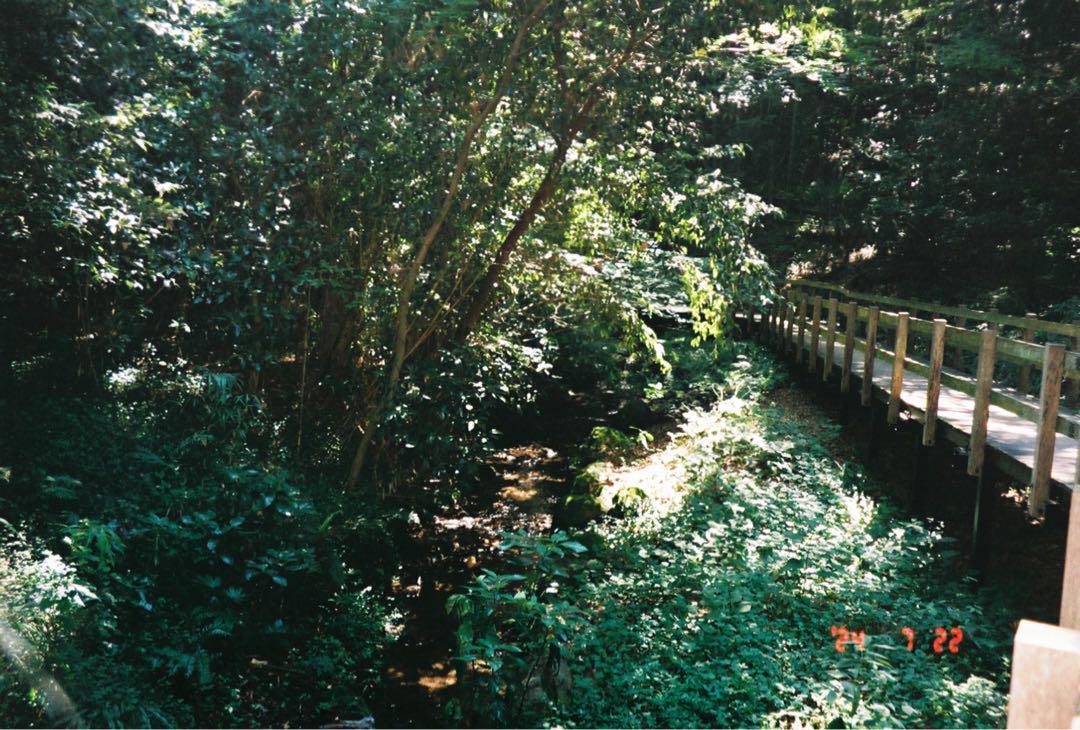 OLYMPUS μ II 80 VF コンパクトフィルムカメラ