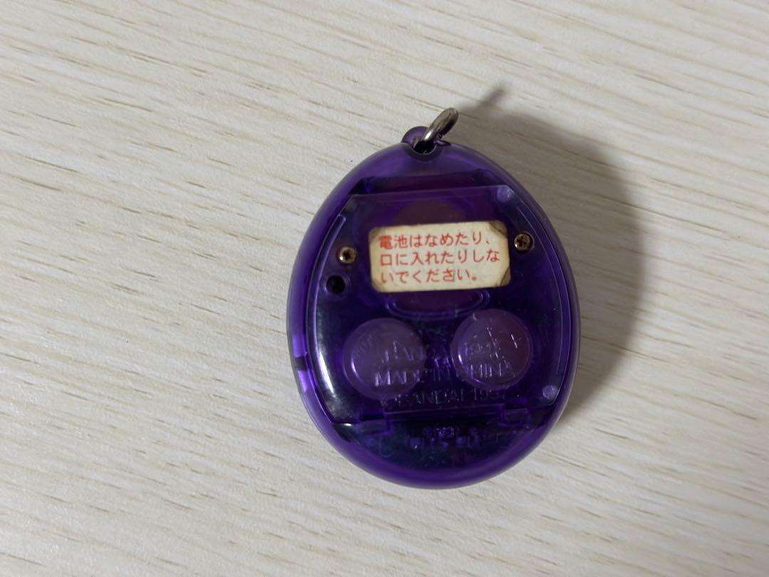 たまごっち　初代　紫　海で発見