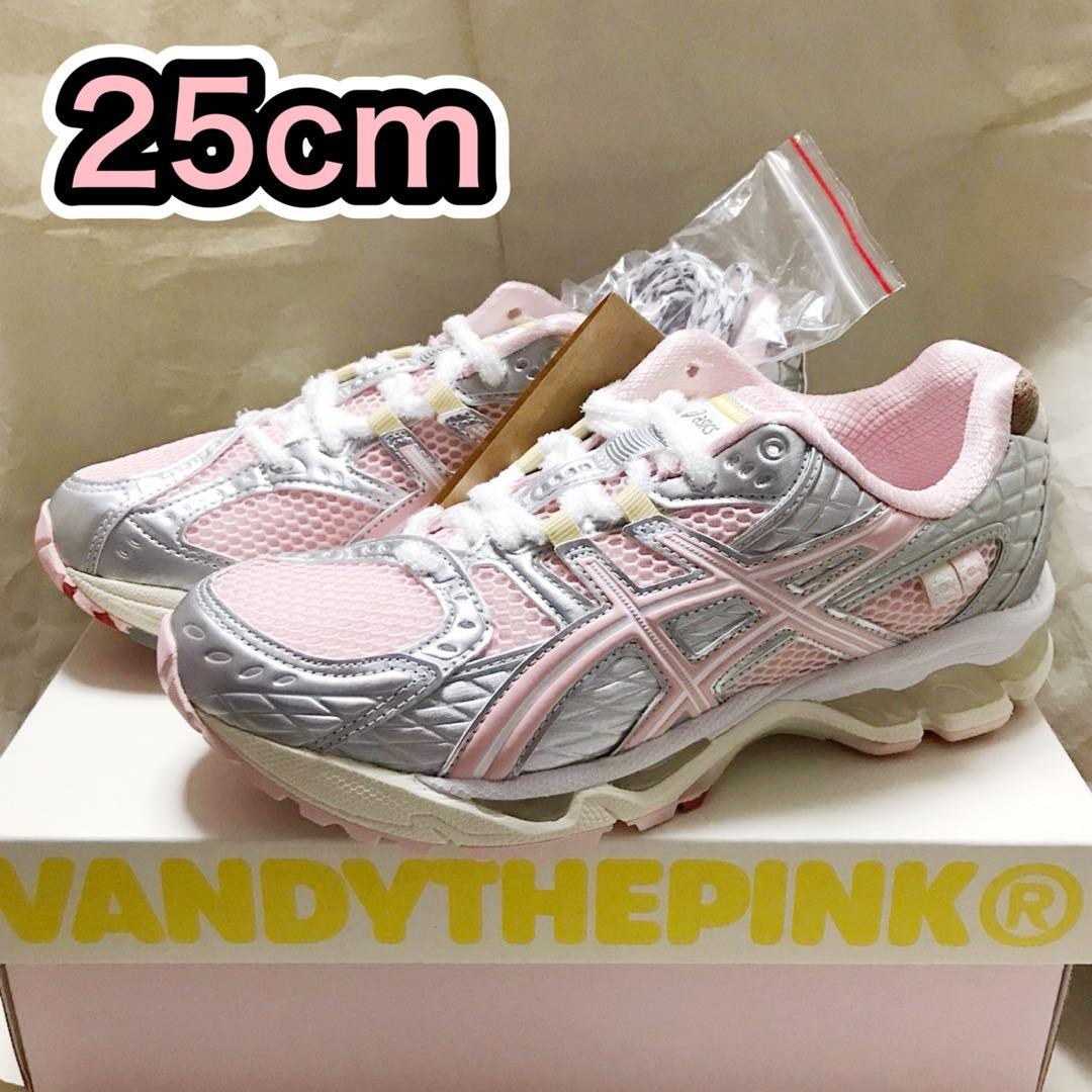 VANDY THE PINK atmos Asics Gel-Nimbus 25
