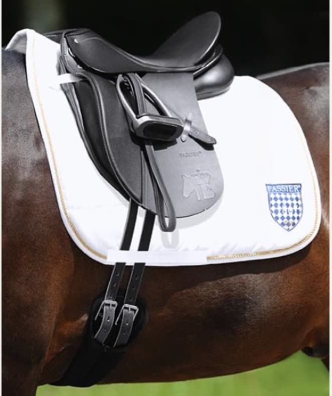 パッシェ　腹帯