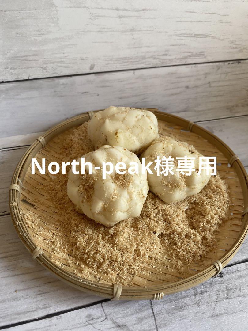 North-peak様専用 規格外10キロ