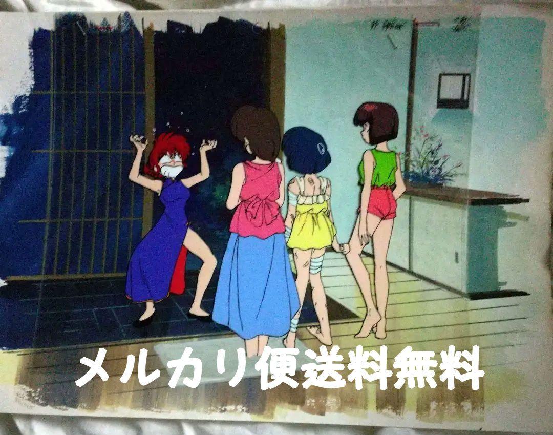 激安通販新作 らんま1/2 セル画 男乱馬 背景付き セル画 - セル画