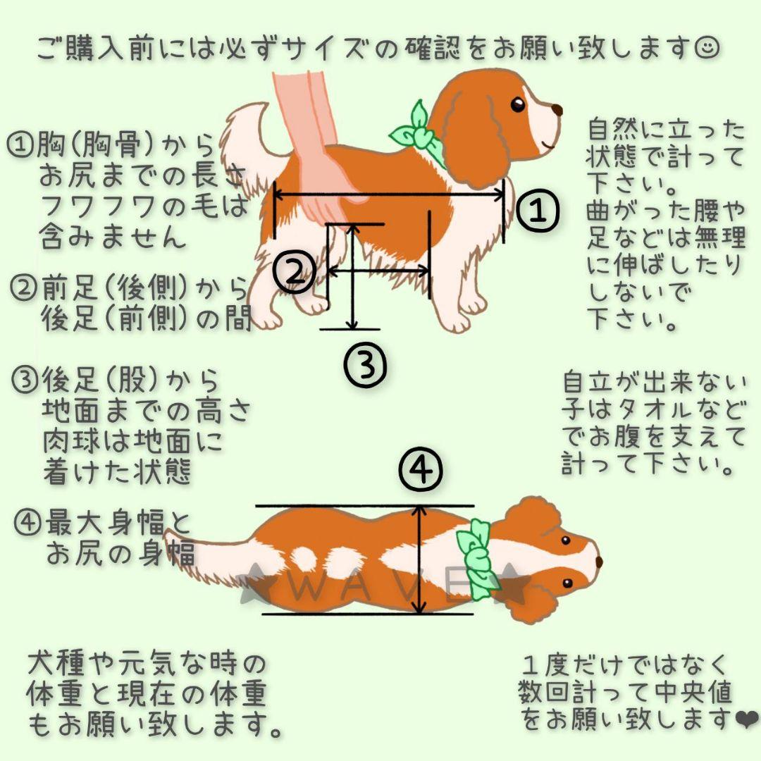 オーダー受付　犬の歩行器　猫の歩行器　猫の車いす　犬の車いす　リハビリ　歩行補助