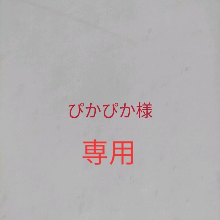 ぴかぴか様専用 bskampala.com