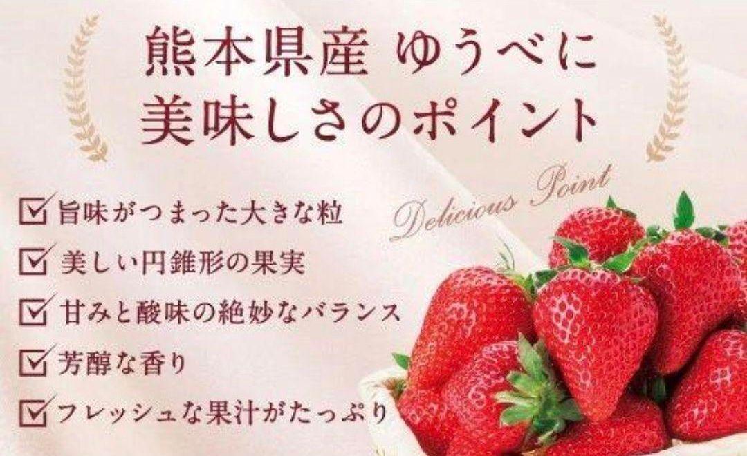 み^^冷凍いちご10kg