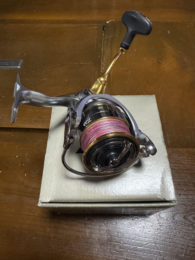 柴犬 　Daiwa FREAMS LT 3000D スピニングリール
