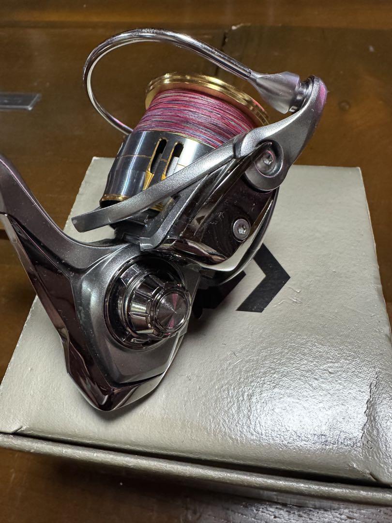柴犬 　Daiwa FREAMS LT 3000D スピニングリール