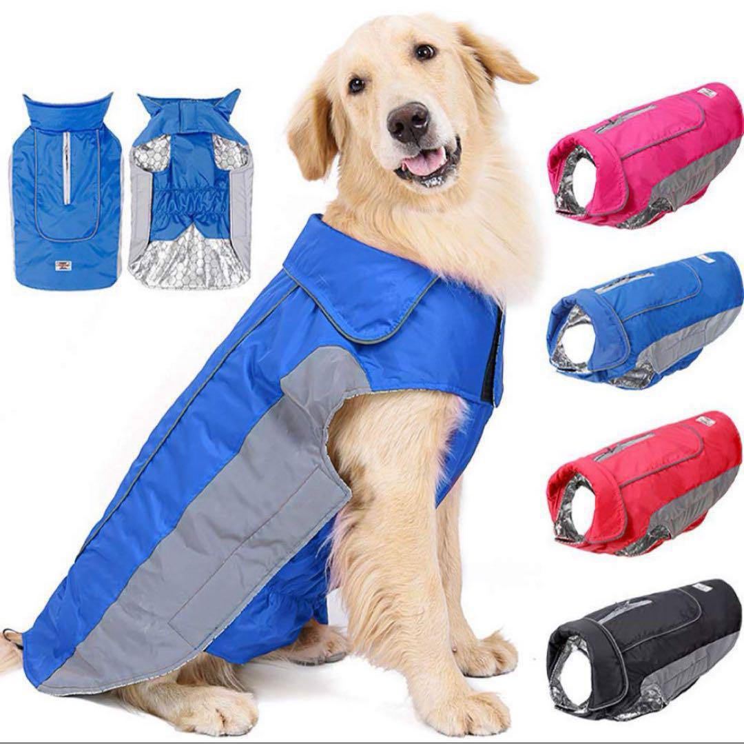 犬服