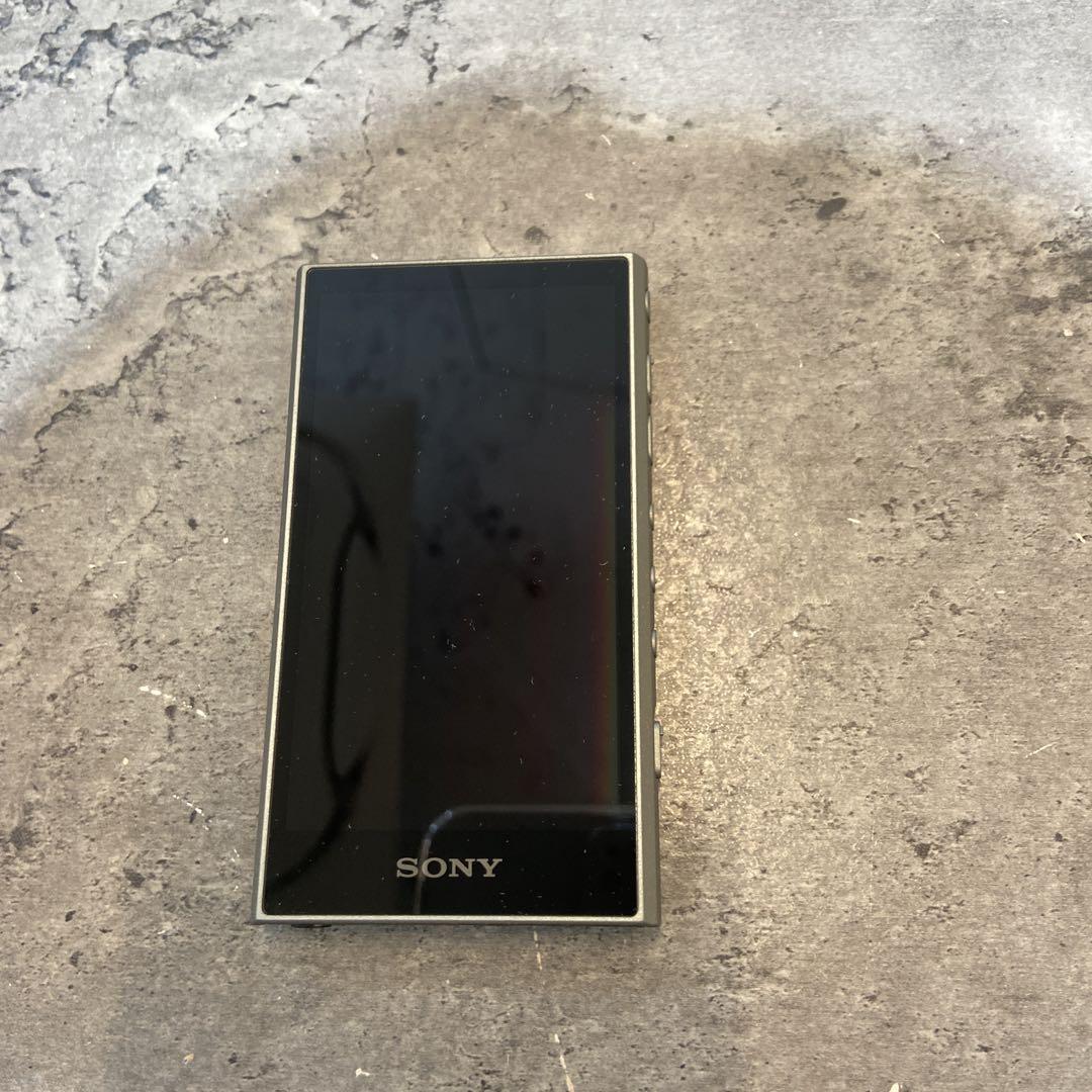 Y387 SONY ウォークマン NW-A300series