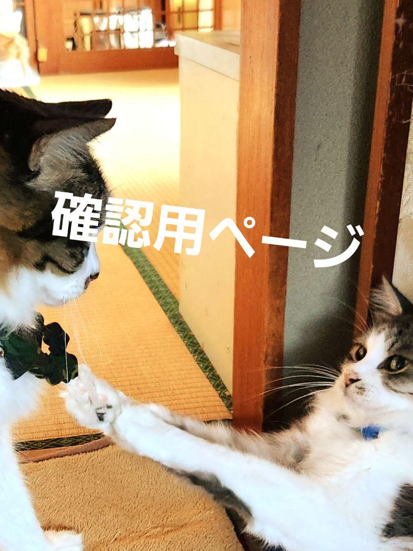 確認用ページ