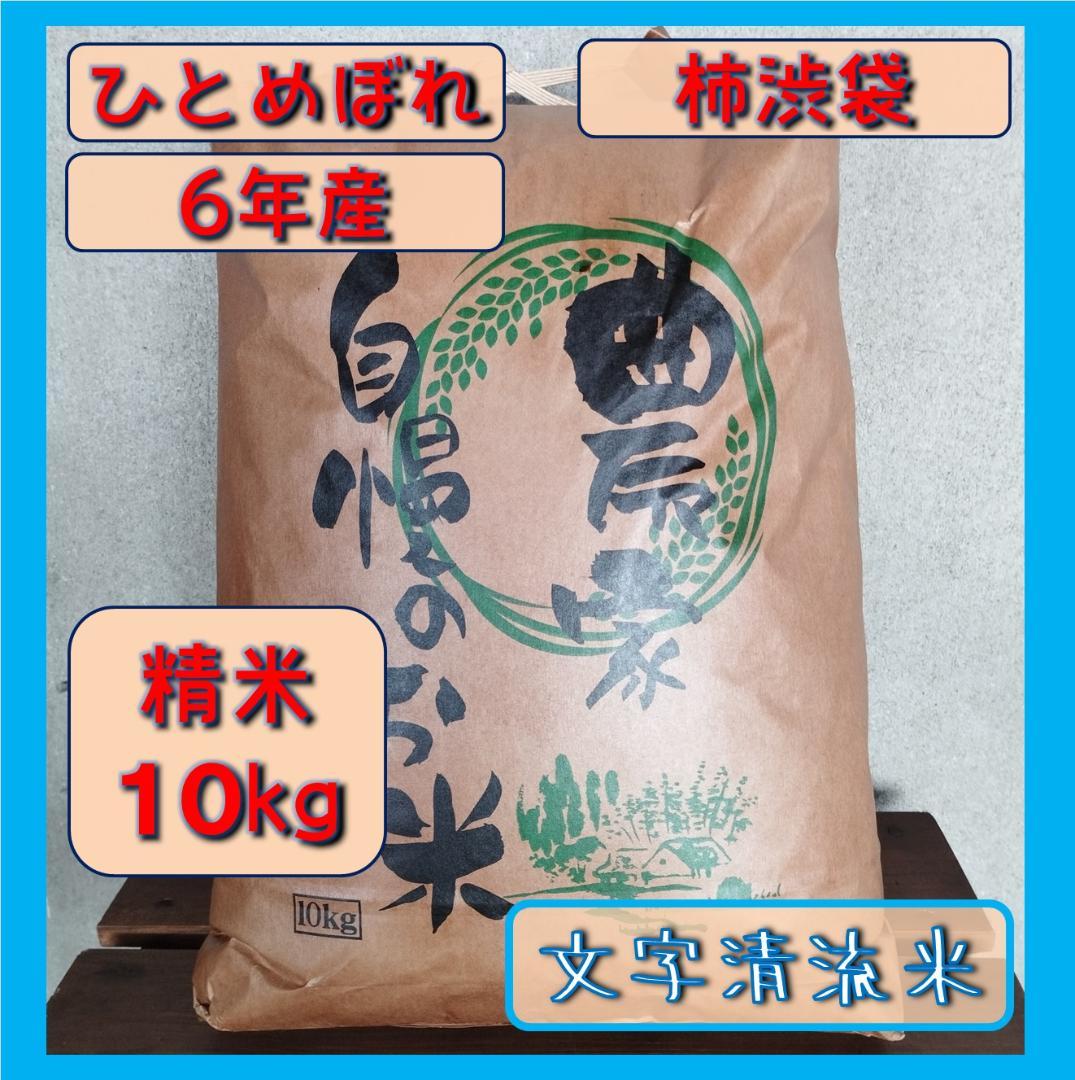 ひとめぼれ　精米10㎏　6年産　宮城県　柿渋袋　送料込　農家直送　米　10キロ