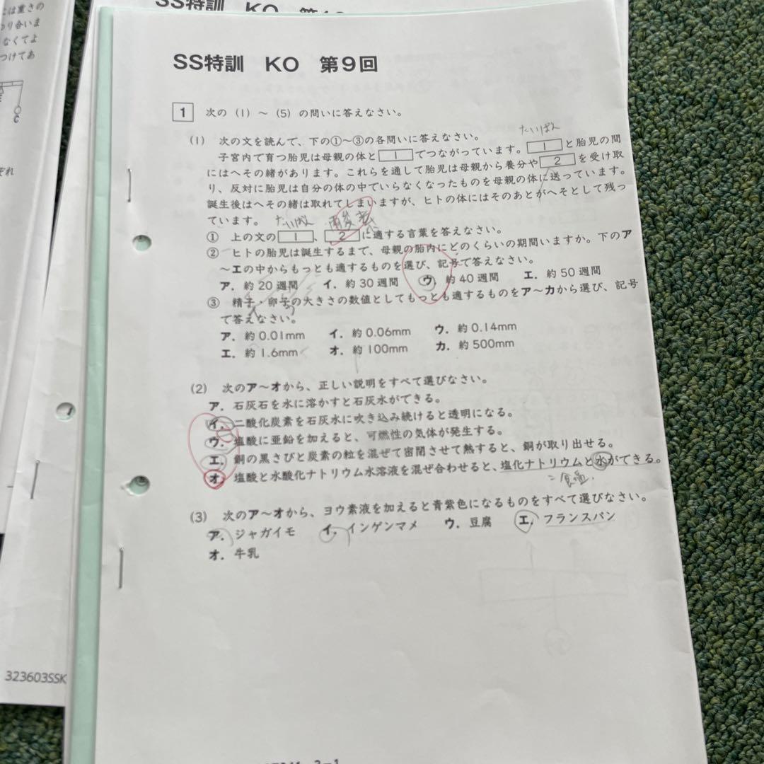 楽天市場】SAPIX サピックス SS特訓 慶應コース KE 理科 第1~11