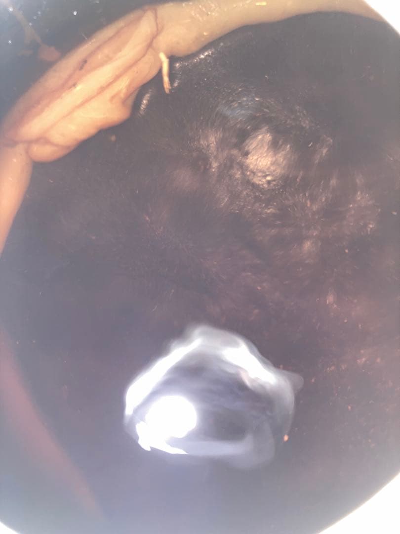 スティード400 nc26 チョッパー