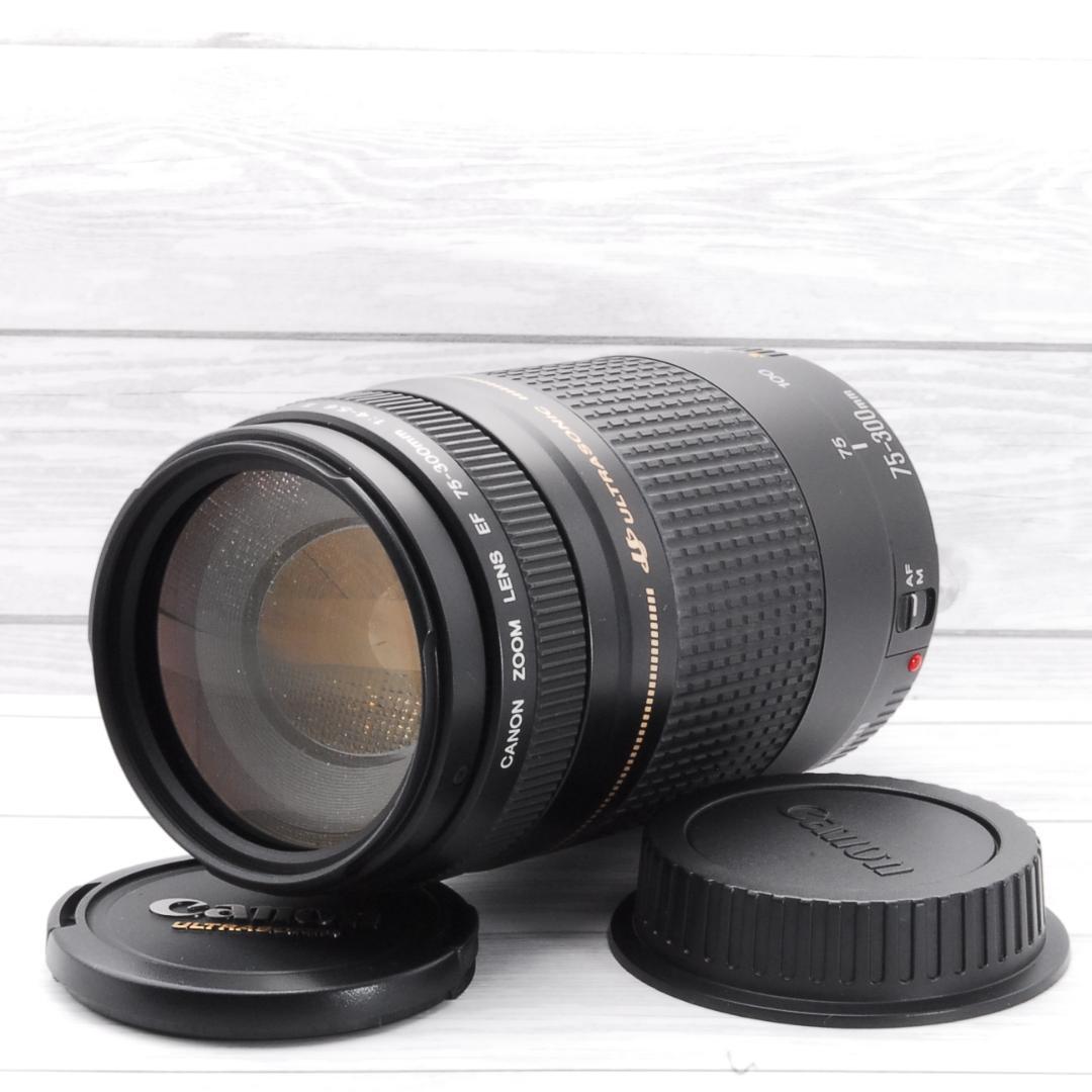 美品 完動品 EF 75-300mm 1:4-5.6 Ⅱ