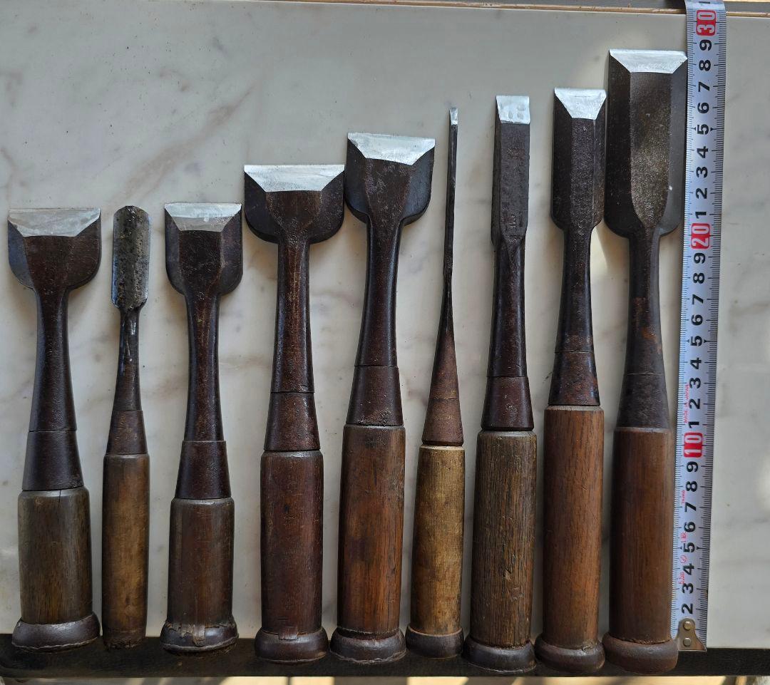 ノミ☆9本セット