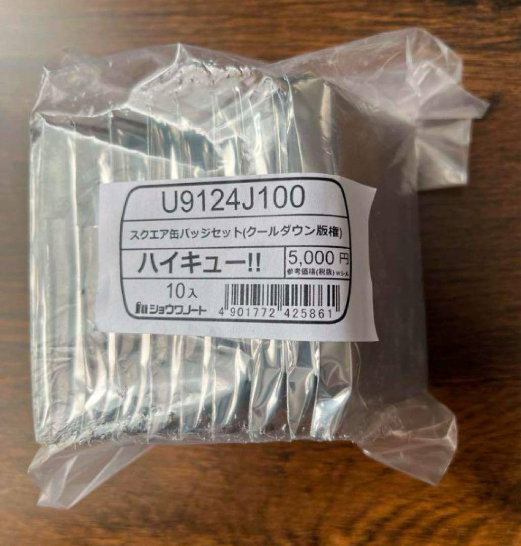 ハイキュー！！　セブンネット限定　クールダウン　おすわり　コンプリートセット ハイキュー!! セブンネット限定 クールダウン おすわり スクエア
