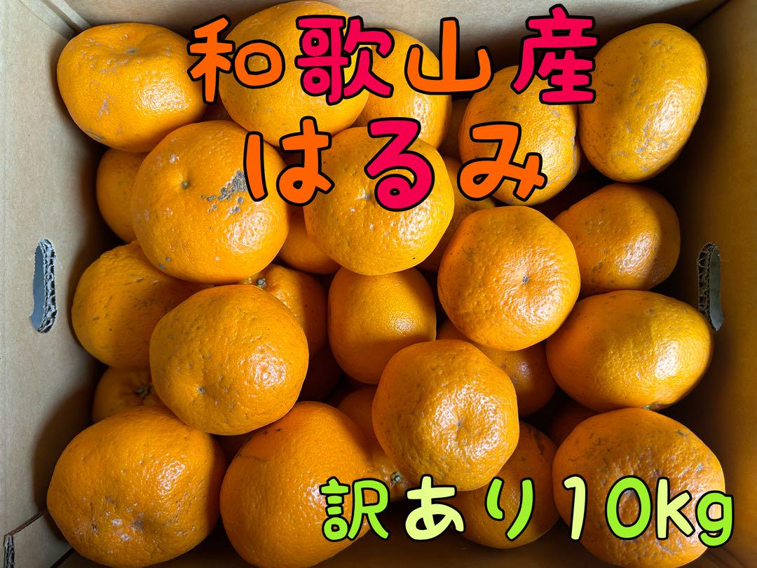 和歌山県産はるみ　訳あり10kg