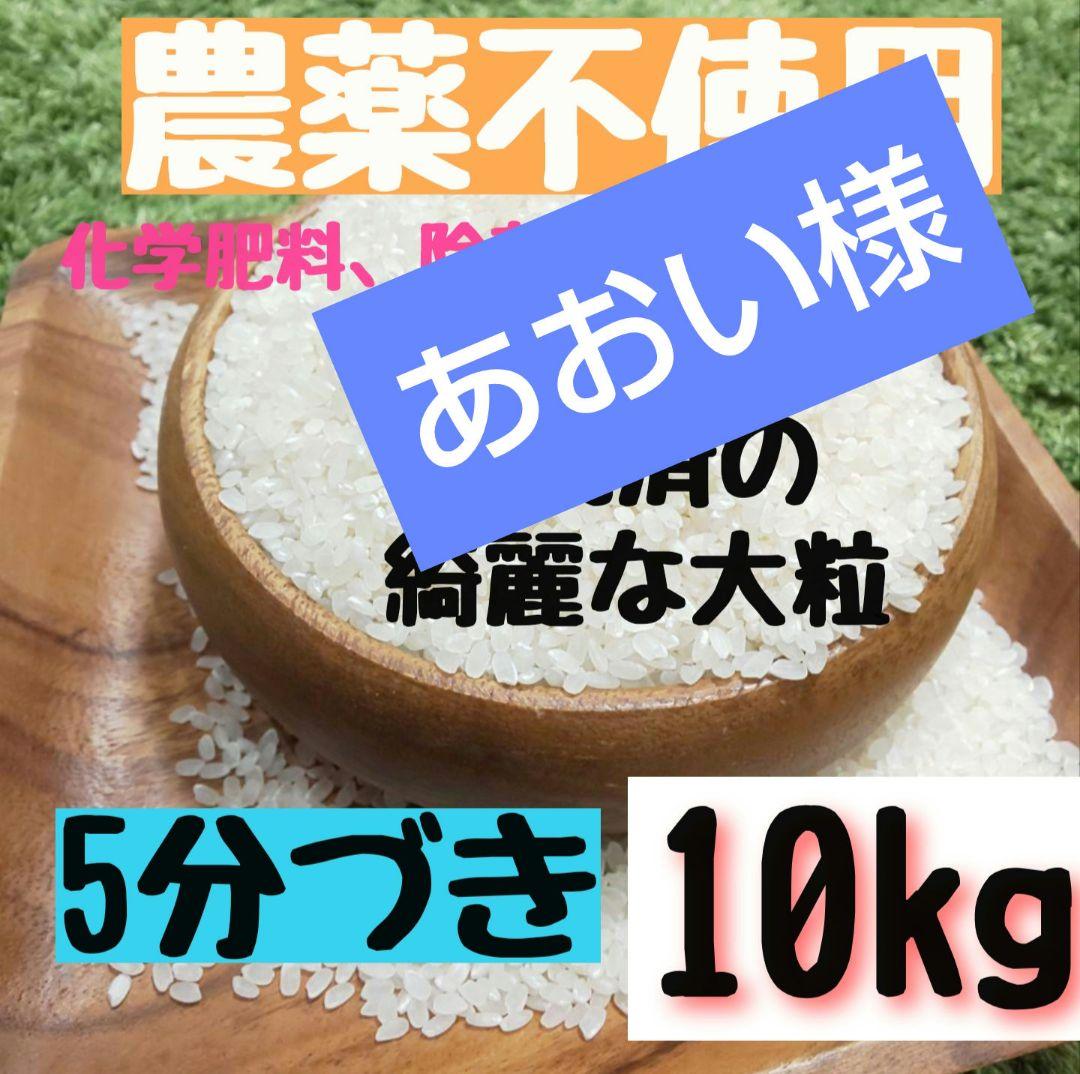 あおい様