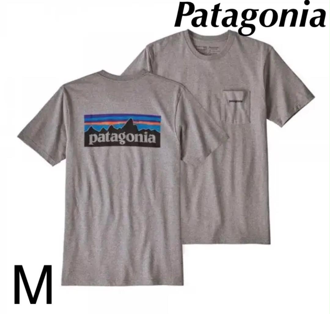 patagonia pocket t