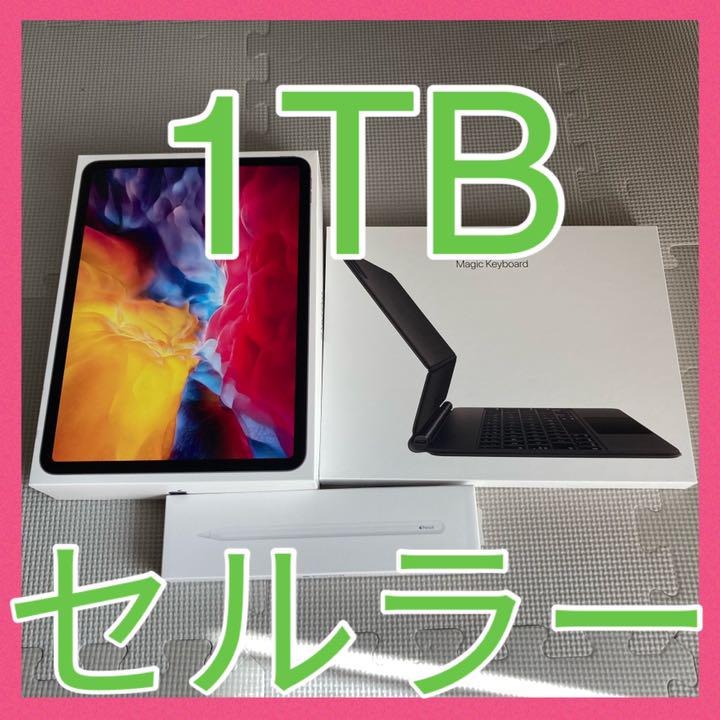 iPad Pro 1TB Cellular 第2世代 AppleCare