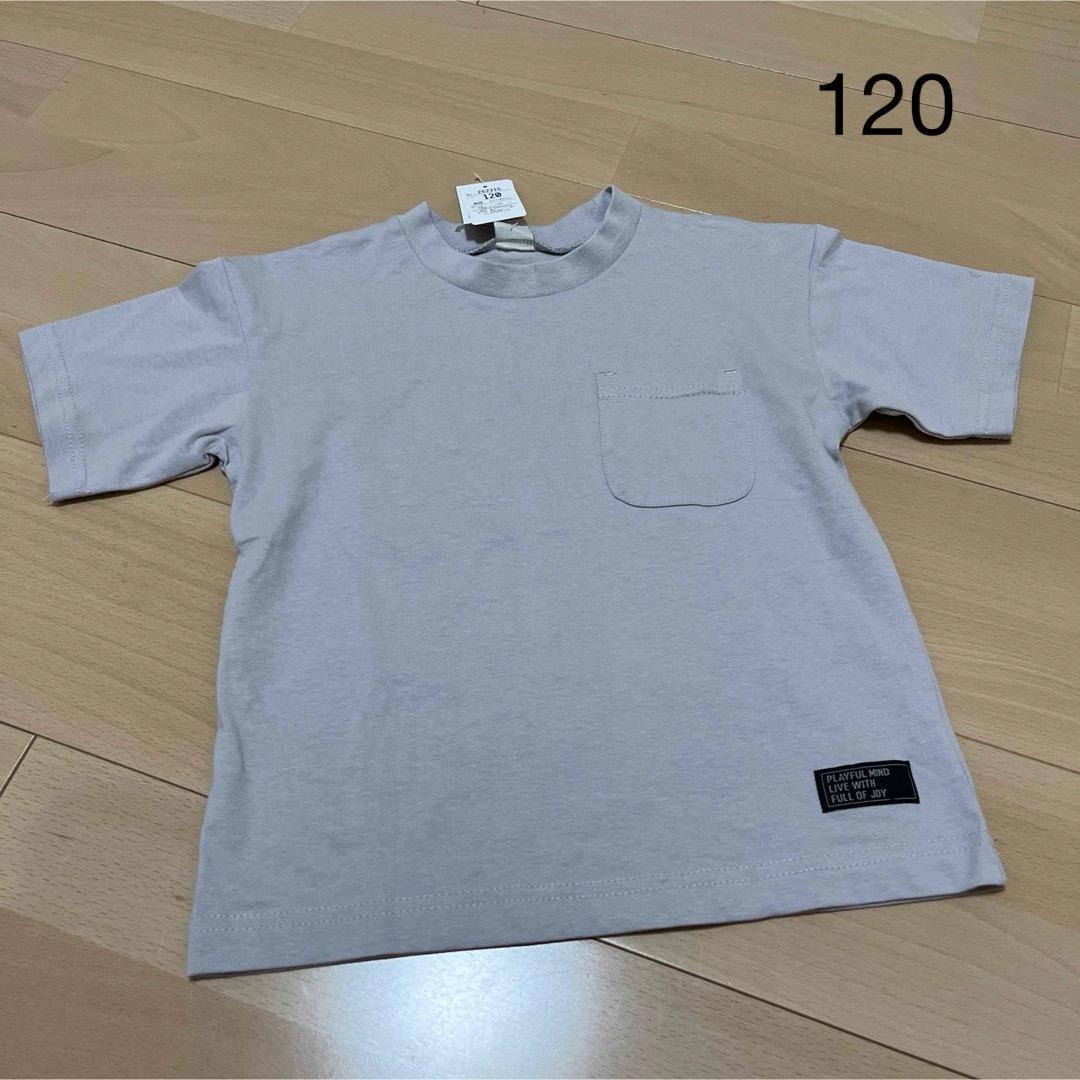 コットン製ライトグレーTシャツ 120